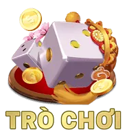 Bảo mật và Quyền riêng tư